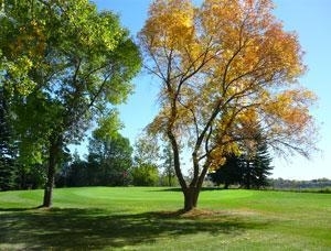 Calgary golf courses directory