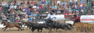  Search Cochrane Community Events & parties
