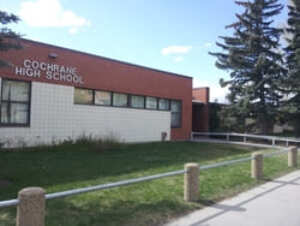  Search Cochrane Public schools directory