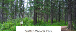Discovery Ridge Park