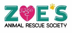  Search Sherwood Park Community pet stores