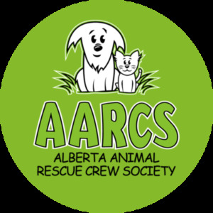  Search Calgary Community pet stores